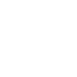 usa1